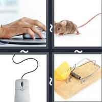 4 Pics 1 Word level 2623 