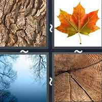 4 Pics 1 Word level 2627 