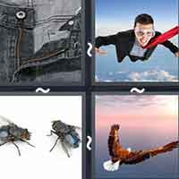 4 Pics 1 Word level 13-6 3 Letters
