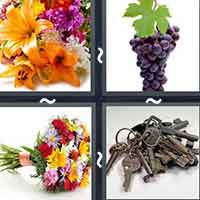 4 Pics 1 Word level 2641 