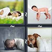 4 Pics 1 Word level 2658 