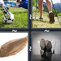 4 Pics 1 Word level 2738 