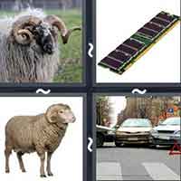 4 Pics 1 Word level 13-14 3 Letters