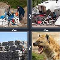 4 Pics 1 Word level 20-13 8 Letters