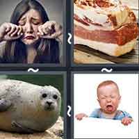 4 Pics 1 Word level 2787 