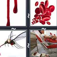4 Pics 1 Word level 44-7 5 Letters