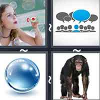 4 Pics 1 Word level 2841 