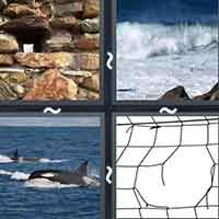 4 Pics 1 Word level 2848 