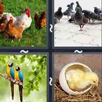 4 Pics 1 Word level 2920 