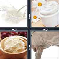 4 Pics 1 Word level 2927 