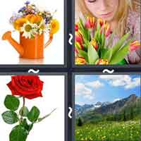 4 Pics 1 Word level 2934 