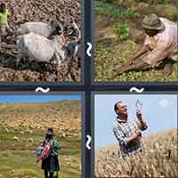 4 Pics 1 Word level 2937 