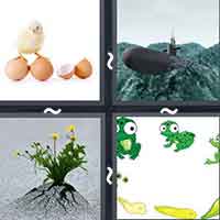 4 Pics 1 Word level 2938 