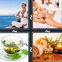 4 Pics 1 Word level 2956 