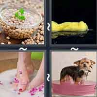 4 Pics 1 Word level 2959 
