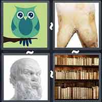 4 Pics 1 Word level 2986 