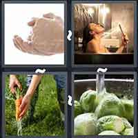 4 Pics 1 Word level 3006 