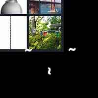 4 Pics 1 Word level 3008 