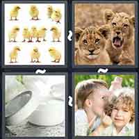 4 Pics 1 Word level 3016 