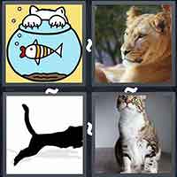 4 Pics 1 Word level 43-1 6 Letters