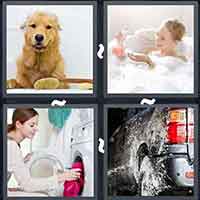 4 Pics 1 Word level 42-15 4 Letters