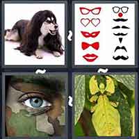 4 Pics 1 Word level 3085 