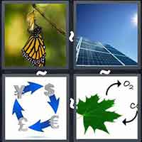 4 Pics 1 Word level 37-1 7 Letters
