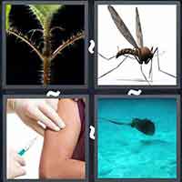 4 Pics 1 Word level 3110 