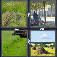 4 Pics 1 Word level 14-10 3 Letters