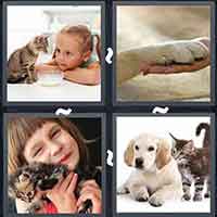 4 Pics 1 Word level 14-11 3 Letters