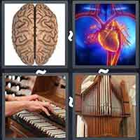 4 Pics 1 Word level 3133 