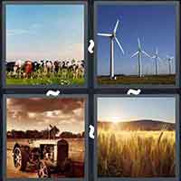 4 Pics 1 Word level 43-10 4 Letters