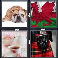 4 Pics 1 Word level 37-14 7 Letters