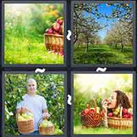 4 Pics 1 Word level 3175 