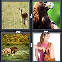 4 Pics 1 Word level 3179 