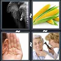 4 Pics 1 Word level 14-15 3 Letters