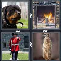 4 Pics 1 Word level 50-14 5 Letters