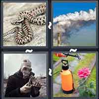 4 Pics 1 Word level 51-9 5 Letters