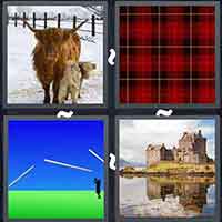 4 Pics 1 Word level 3258 