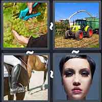 4 Pics 1 Word level 3264 