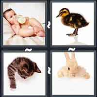 4 Pics 1 Word level 3267 
