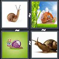 4 Pics 1 Word level 3302 