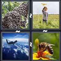 4 Pics 1 Word level 3324 