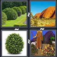 4 Pics 1 Word level 3325 