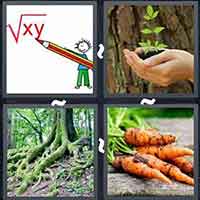 4 Pics 1 Word level 3329 
