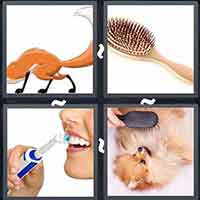4 Pics 1 Word level 3395 