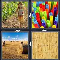 4 Pics 1 Word level 3397 