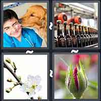 4 Pics 1 Word level 15-10 3 Letters