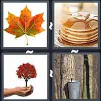 4 Pics 1 Word level 54-10 5 Letters