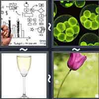 4 Pics 1 Word level 3450 